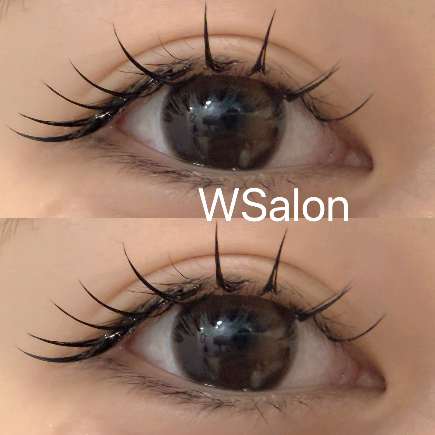 WSalon