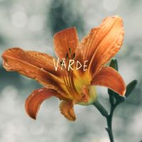 varde_nail