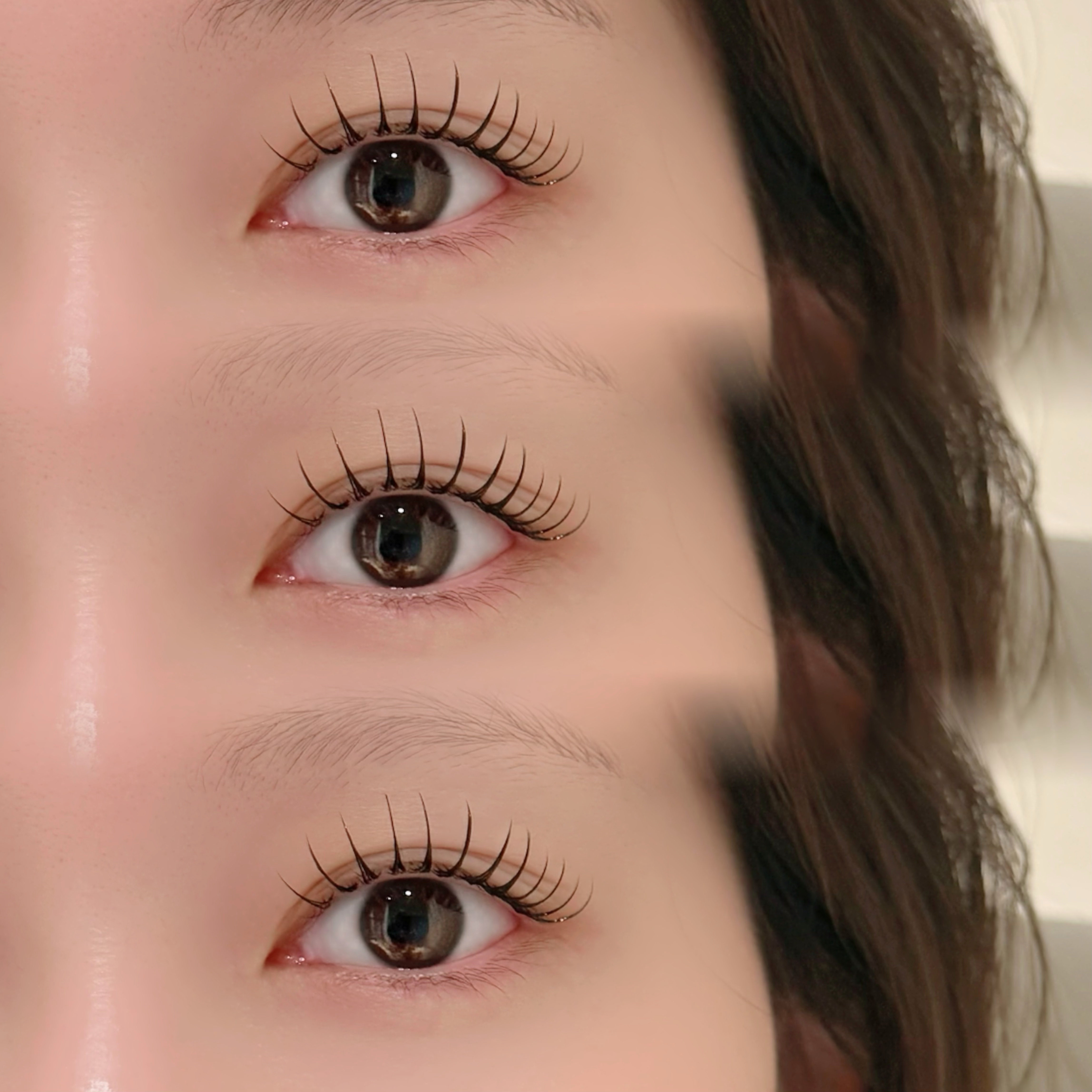IRIS._rina