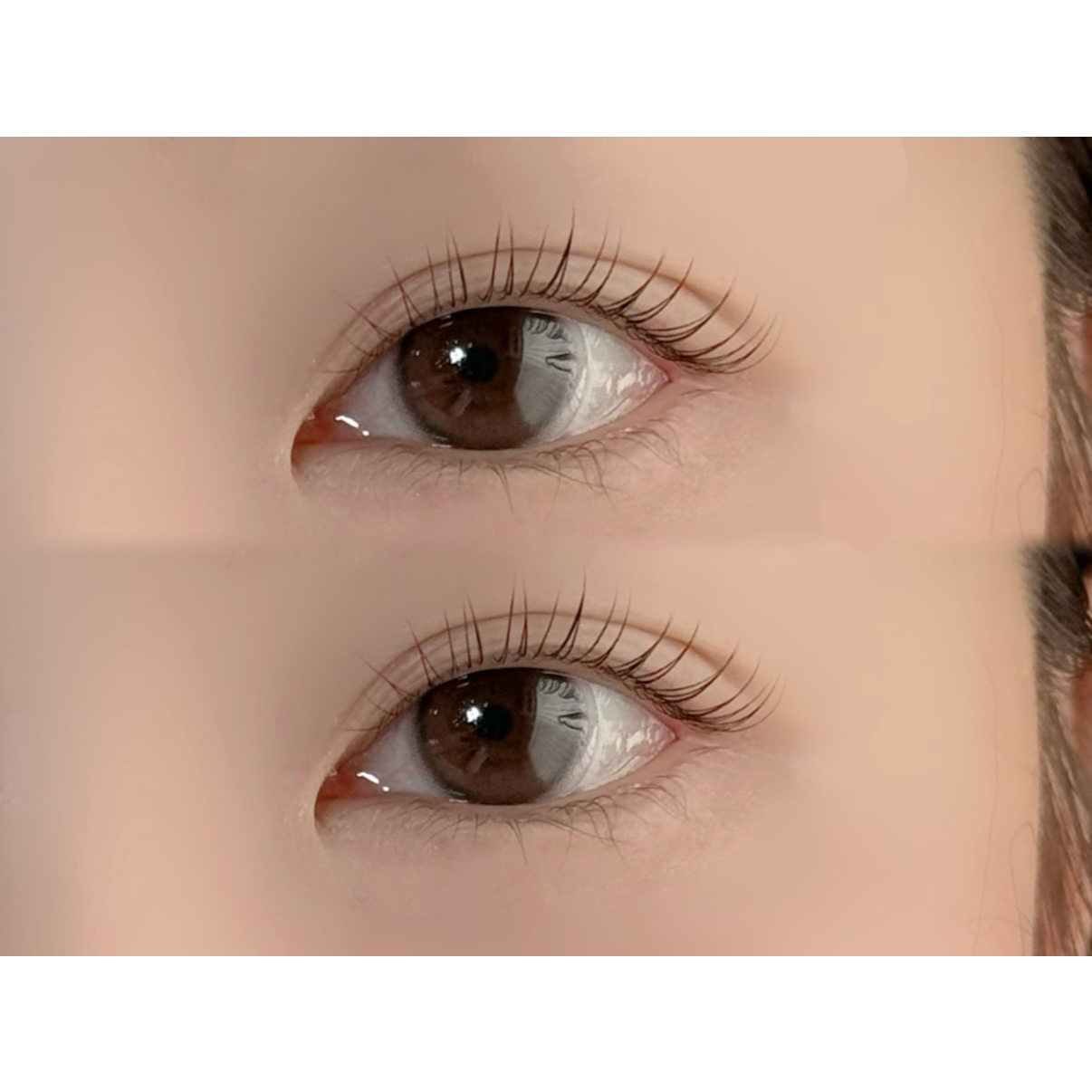 R_LASH