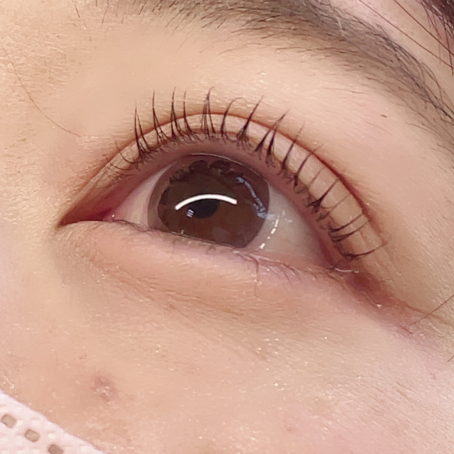 arms_lash