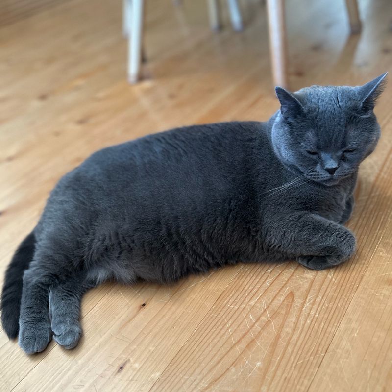 KIKI