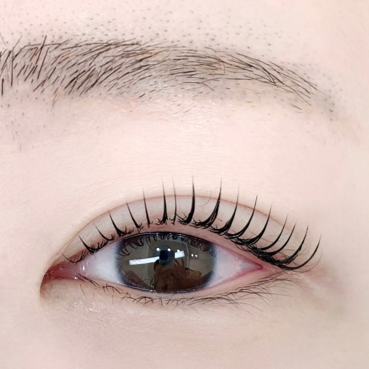 aya.CilsarSalon