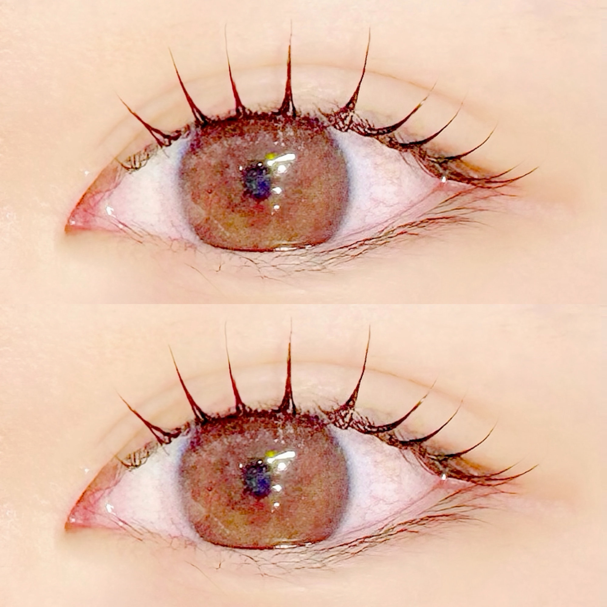 hikari_trueye