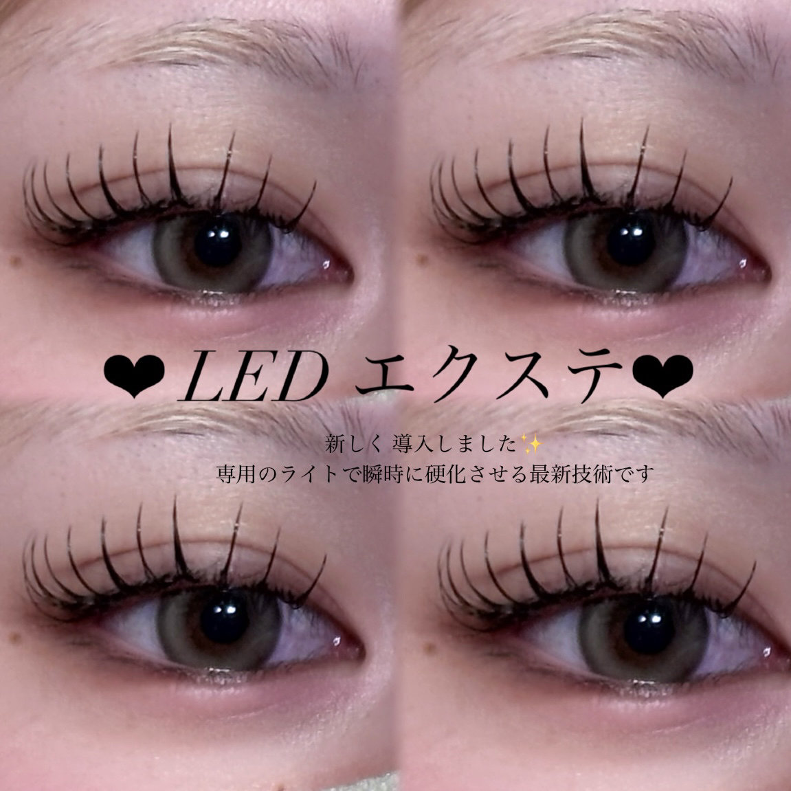 minami_neolive