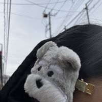 nichiha