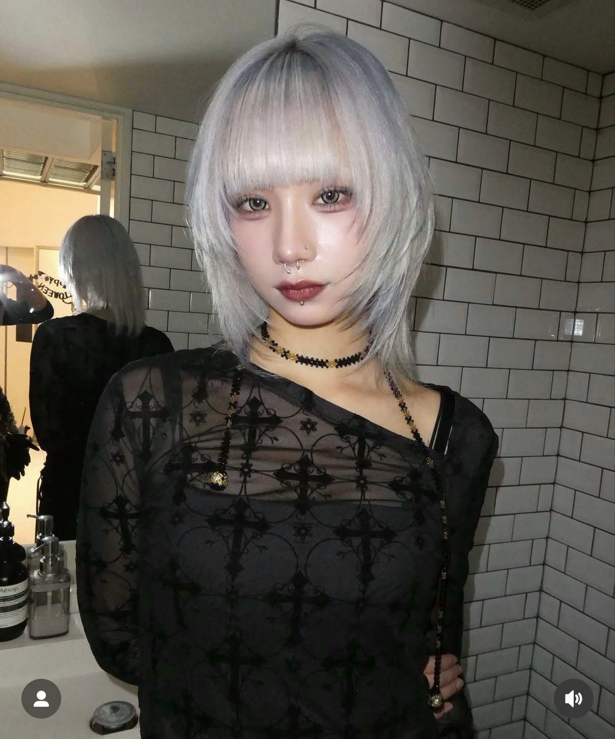 kishi_shachu