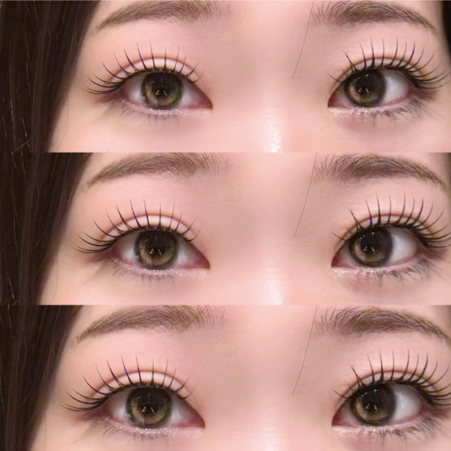 IRIS._rina