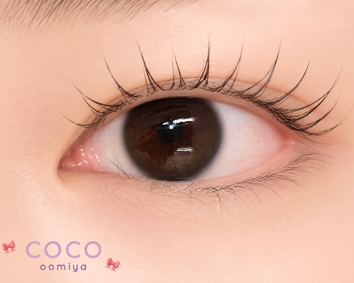 coco_shizuku