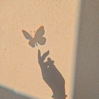 Fiore.