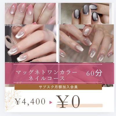 人気マッグネトワンカラー　オフ別　￥4400