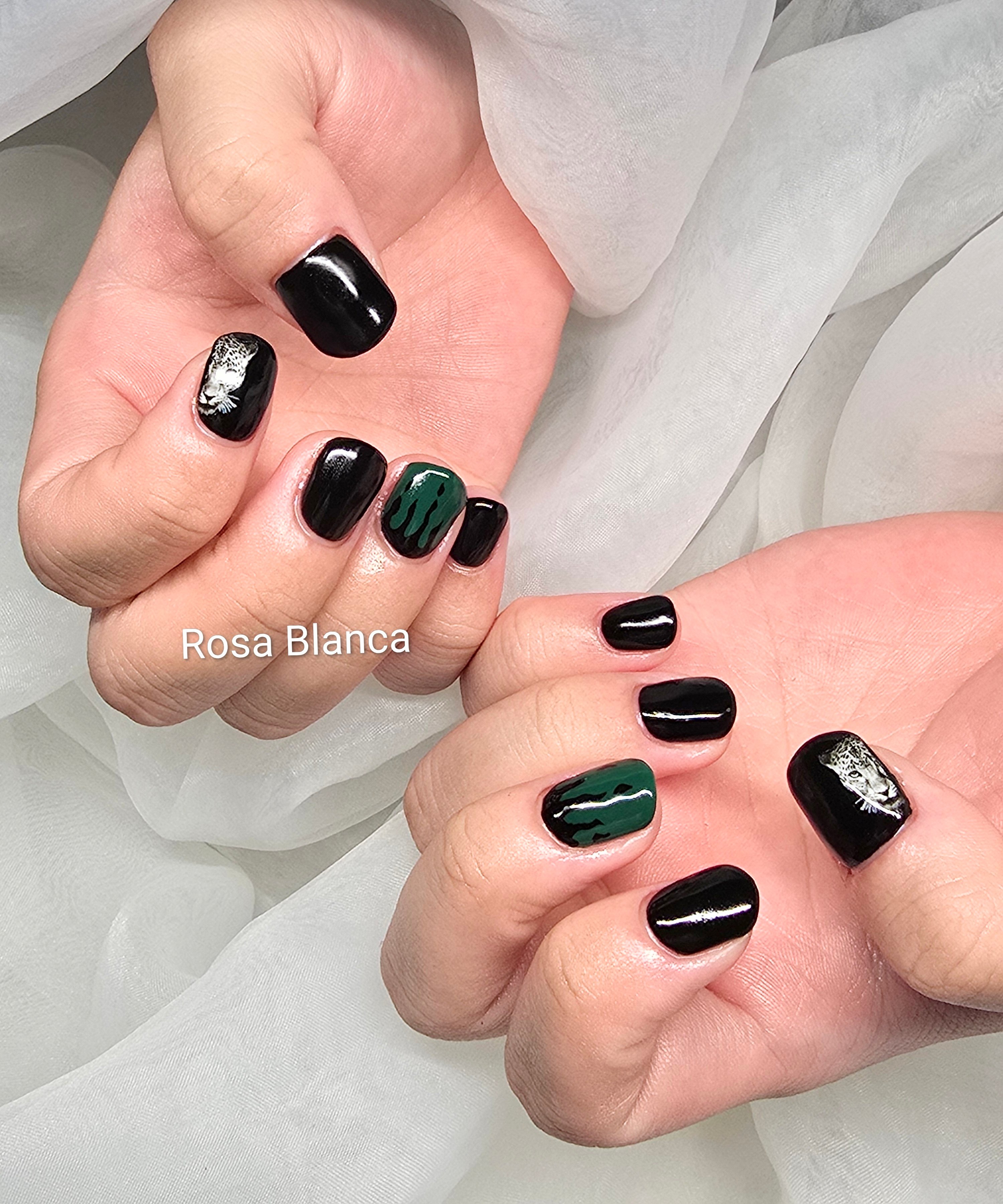 Rosa_Blanca
