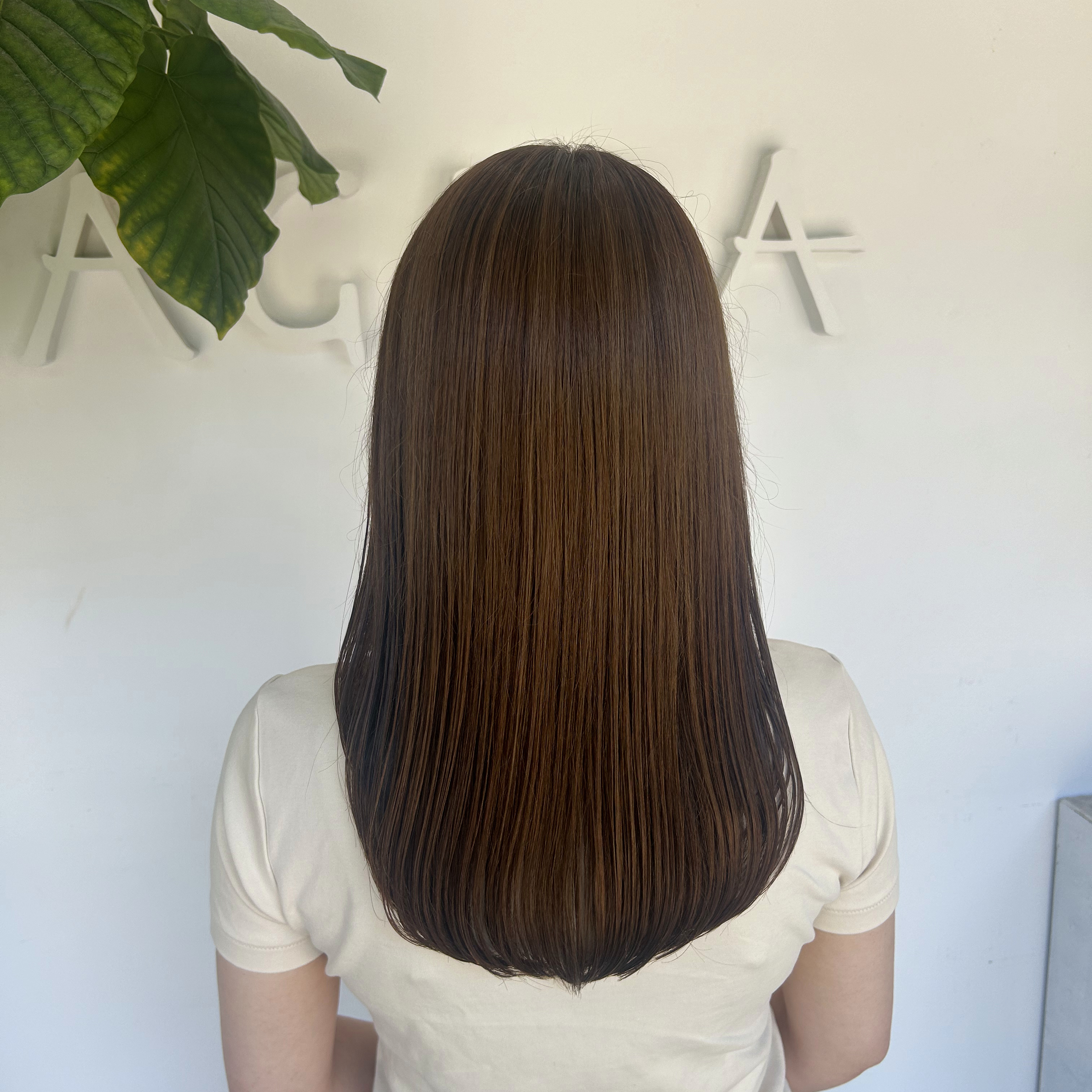 smei_hair