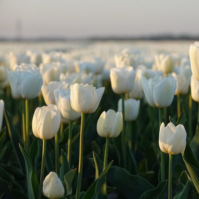 1色追加