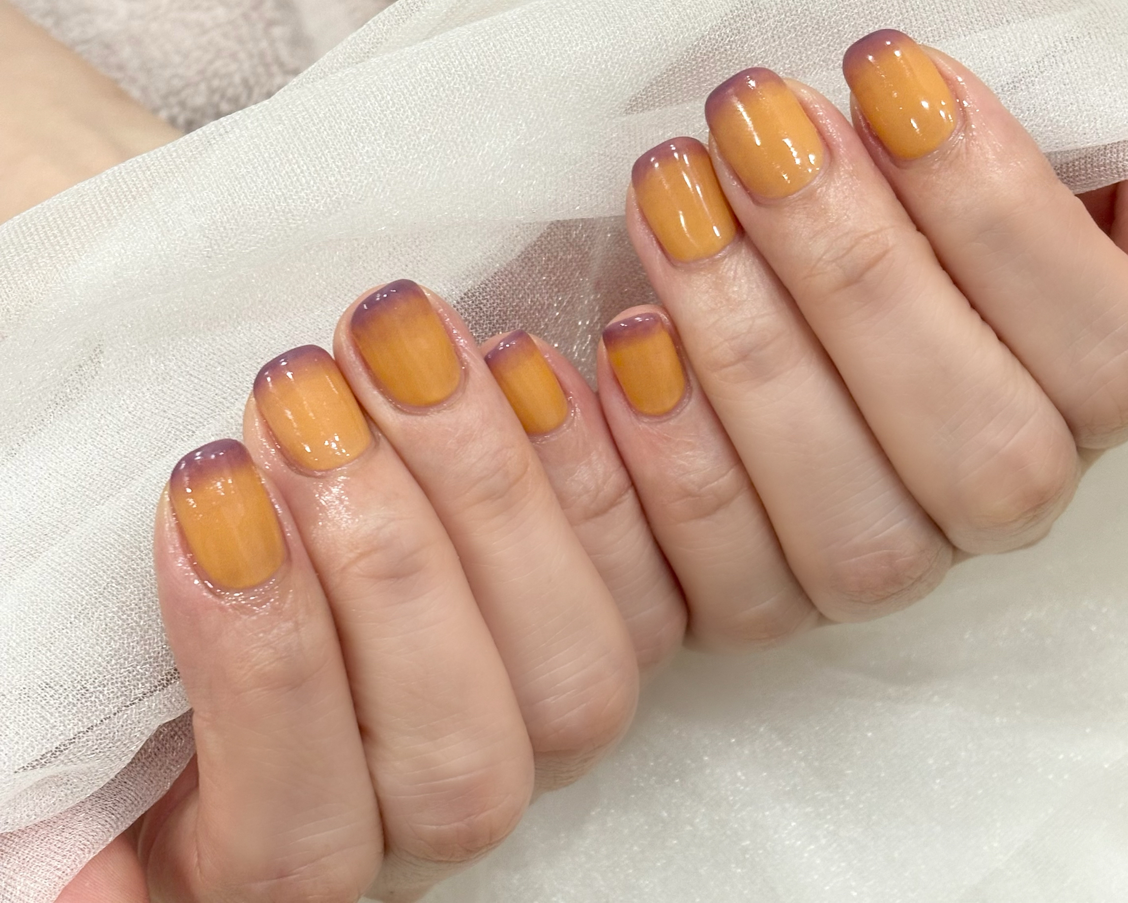 diarily.harhi
