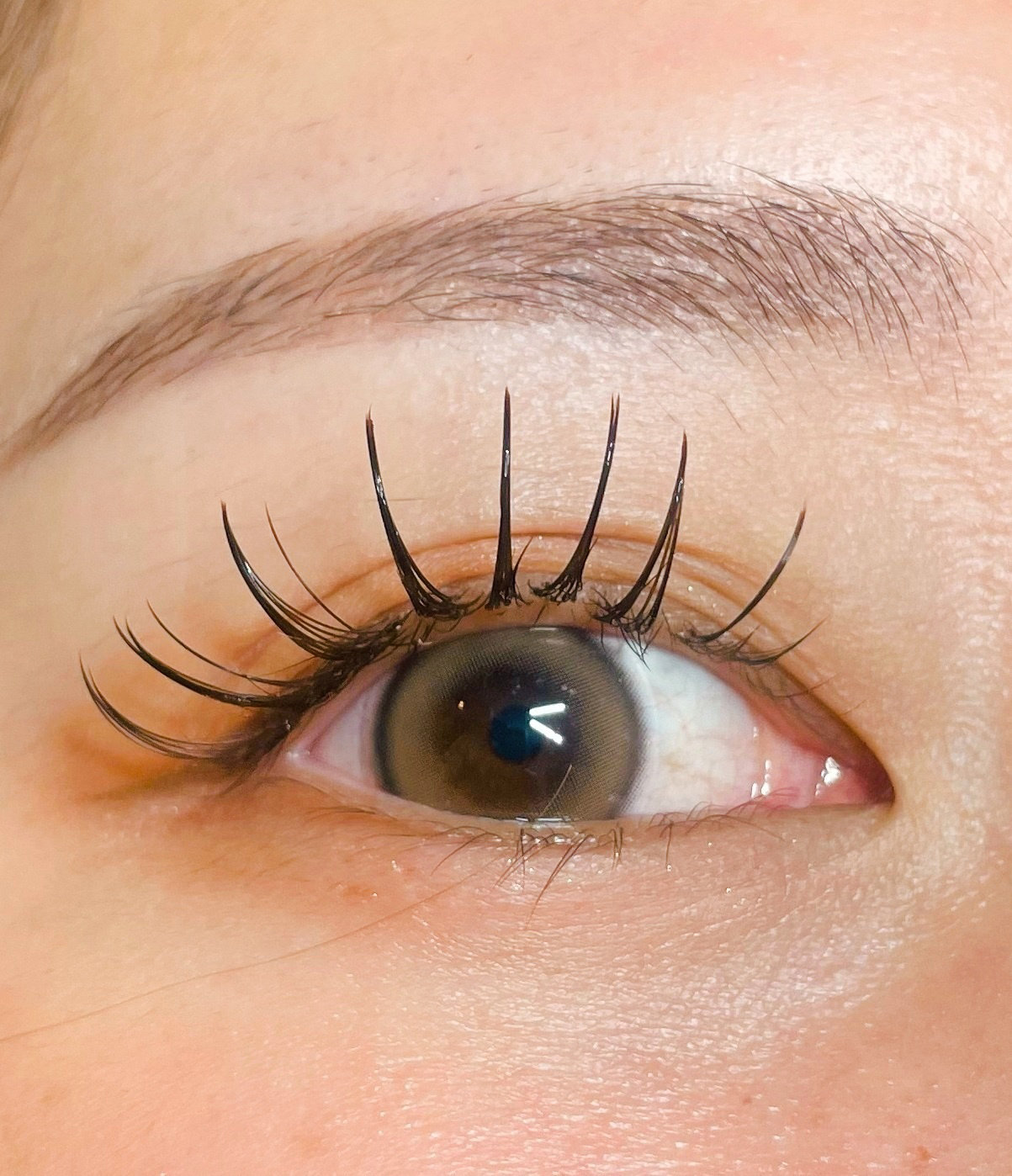 eyelash_kao