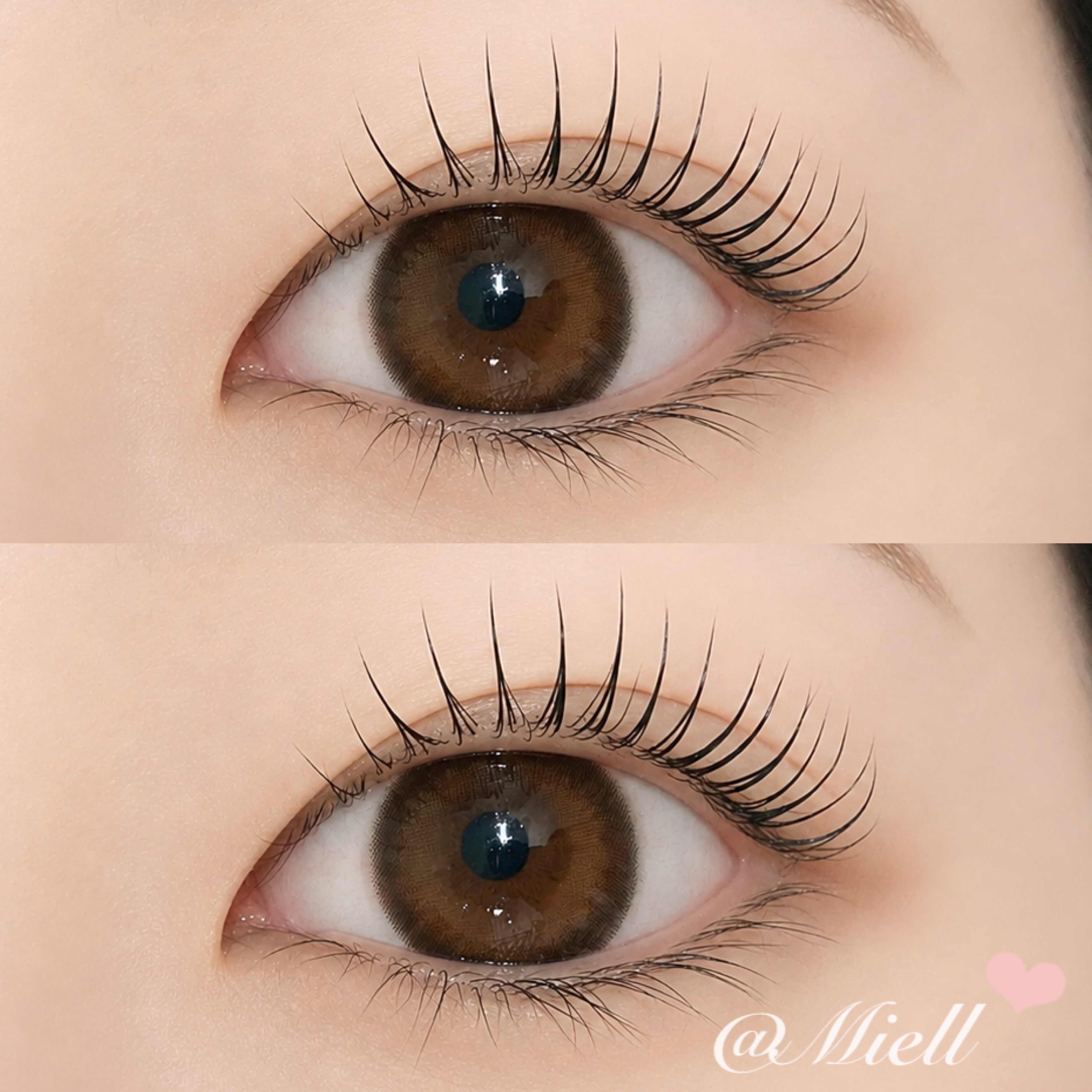 MEI_Miell