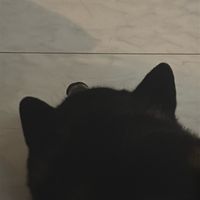 m_umiuma