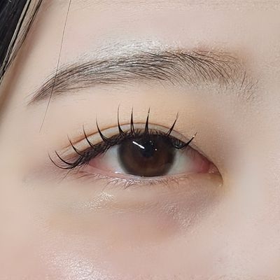 最高級フラットラッシュ100本☺️コーティングお仕上げ付