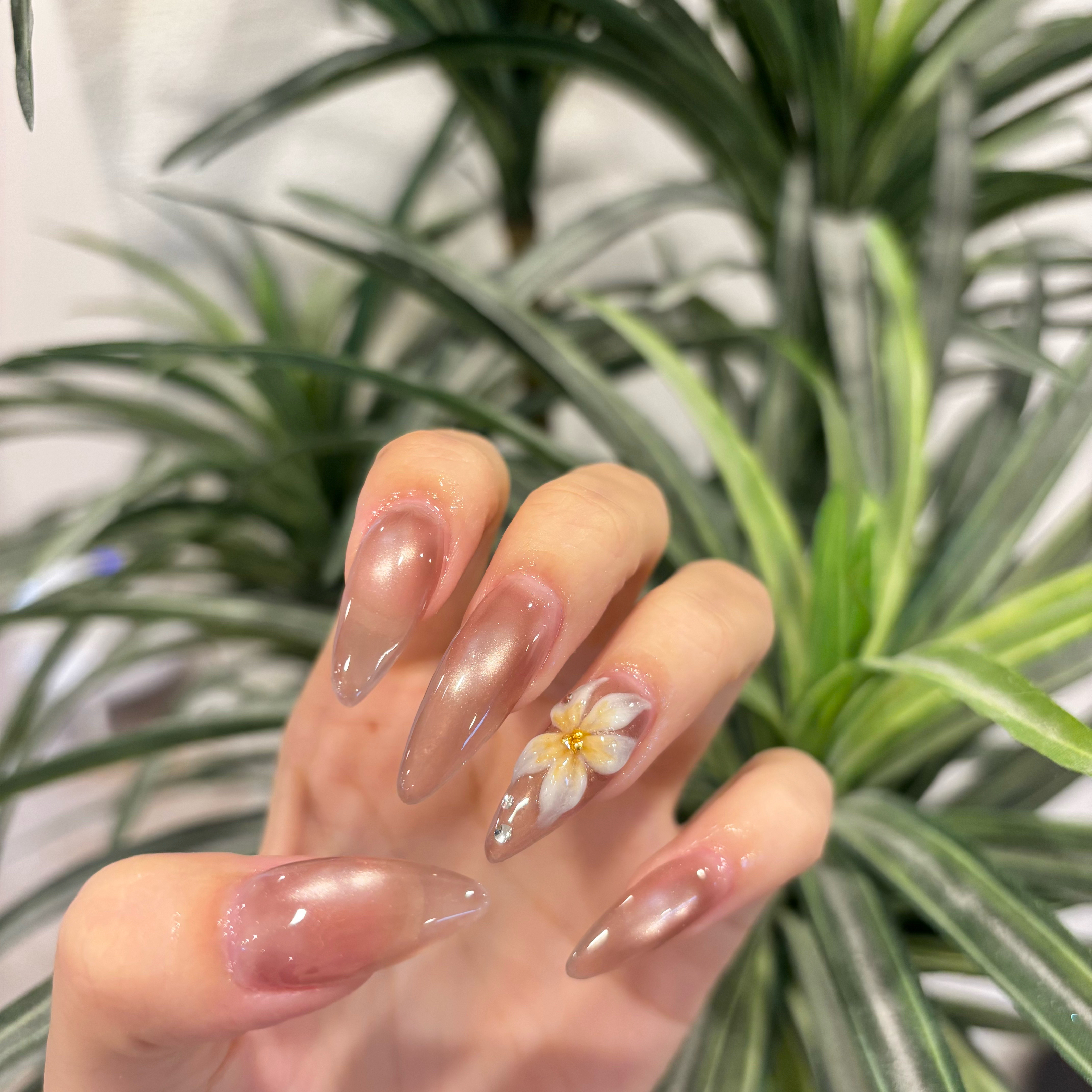 miya_trunail