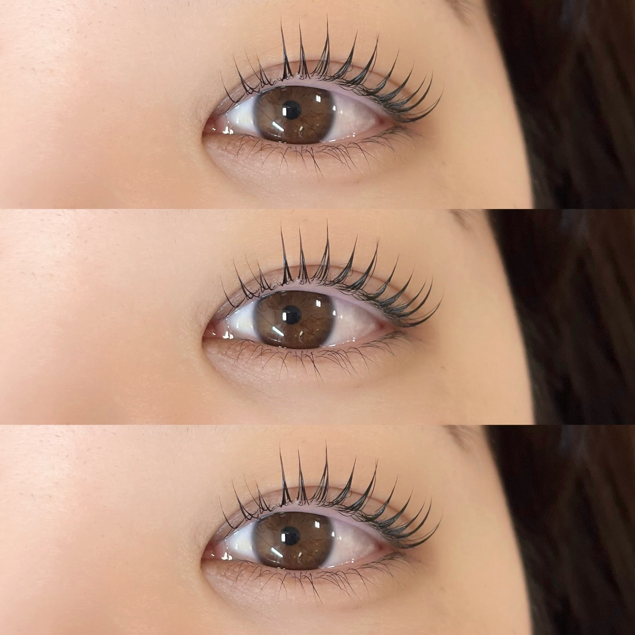 himawari_trueye