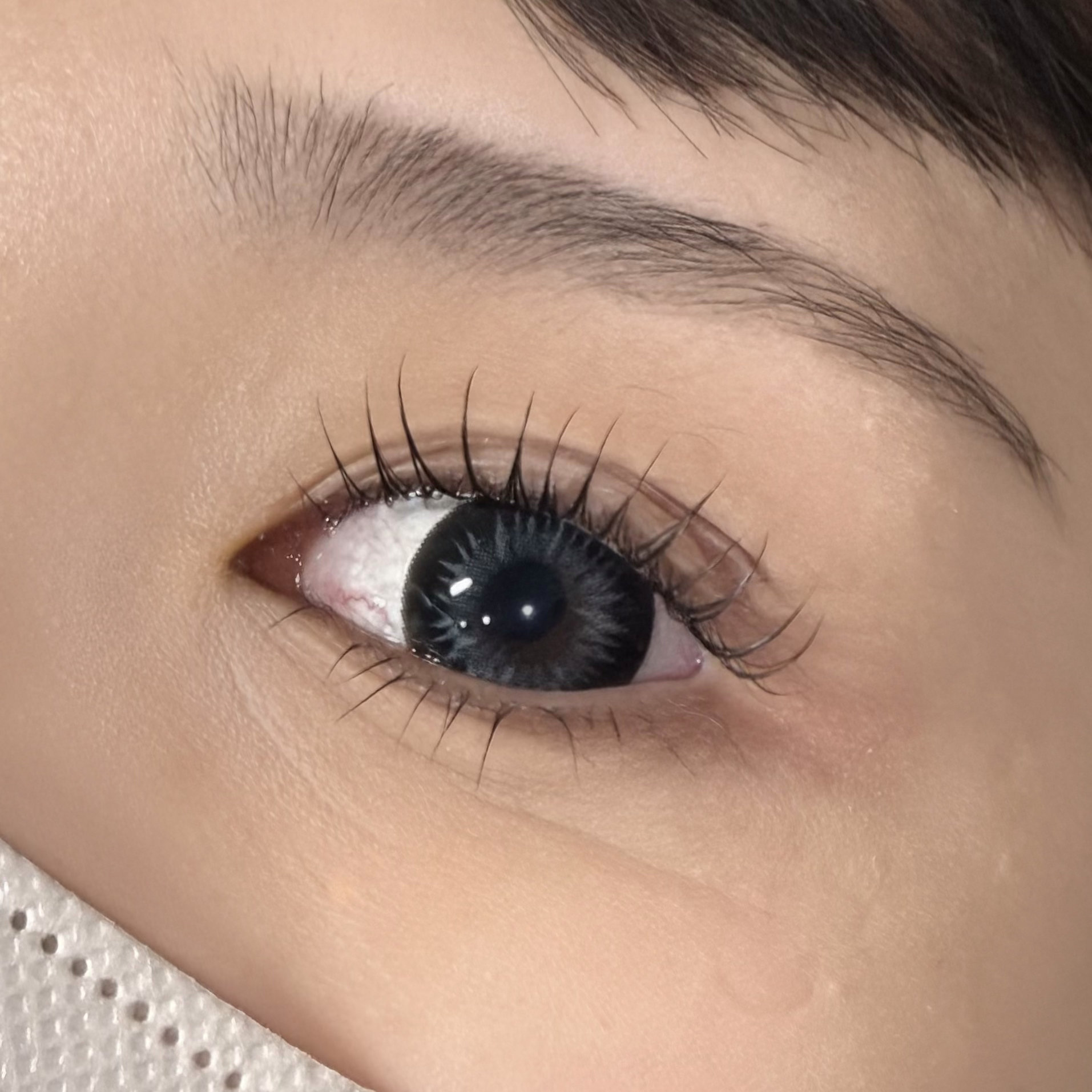 hinata_roco