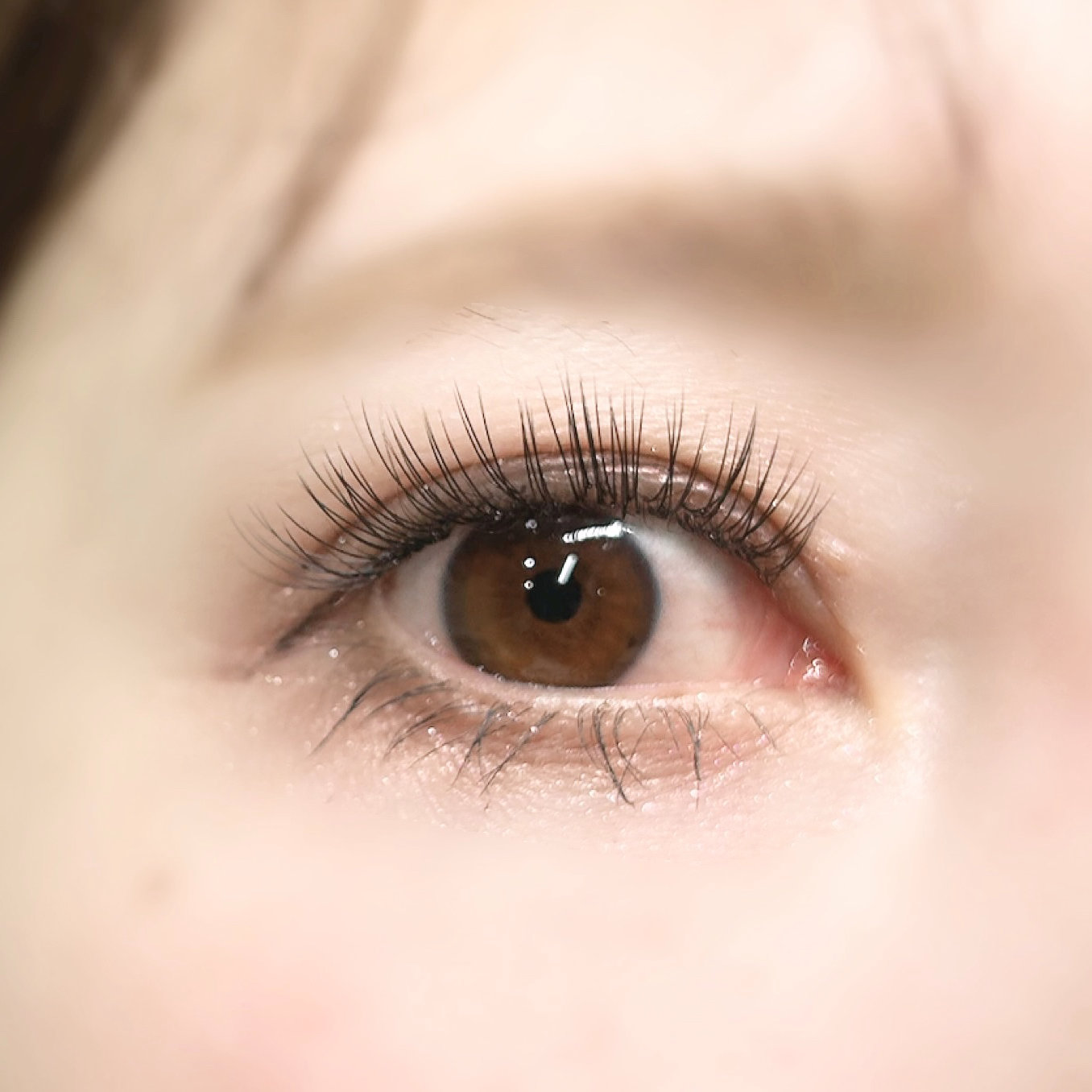 ciela_eyelash