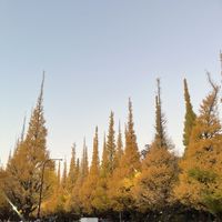 is_mi_
