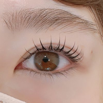 まつげパーマ上のみor下のみ/アイシャンプー付