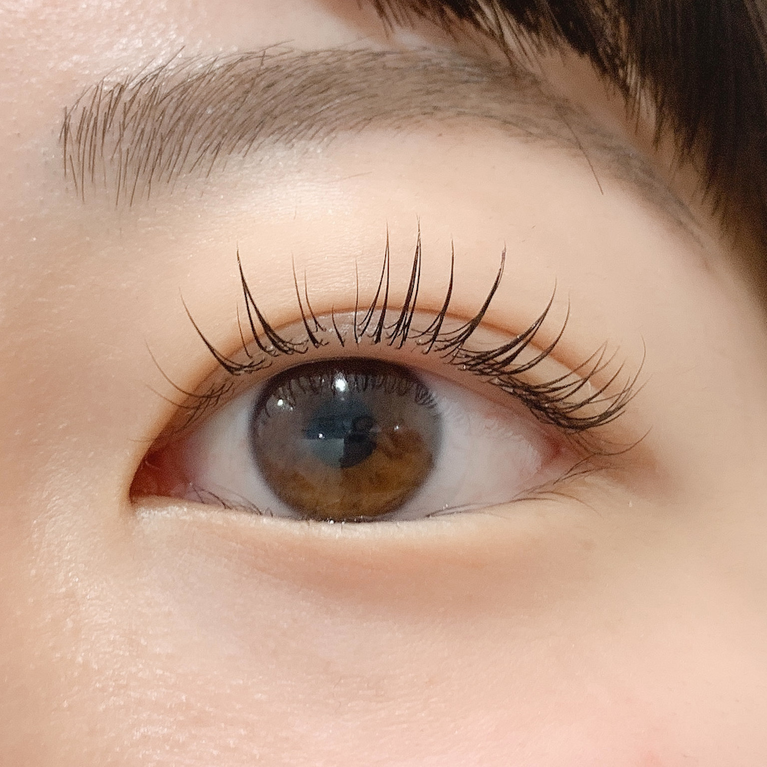 Gunji_eyelash