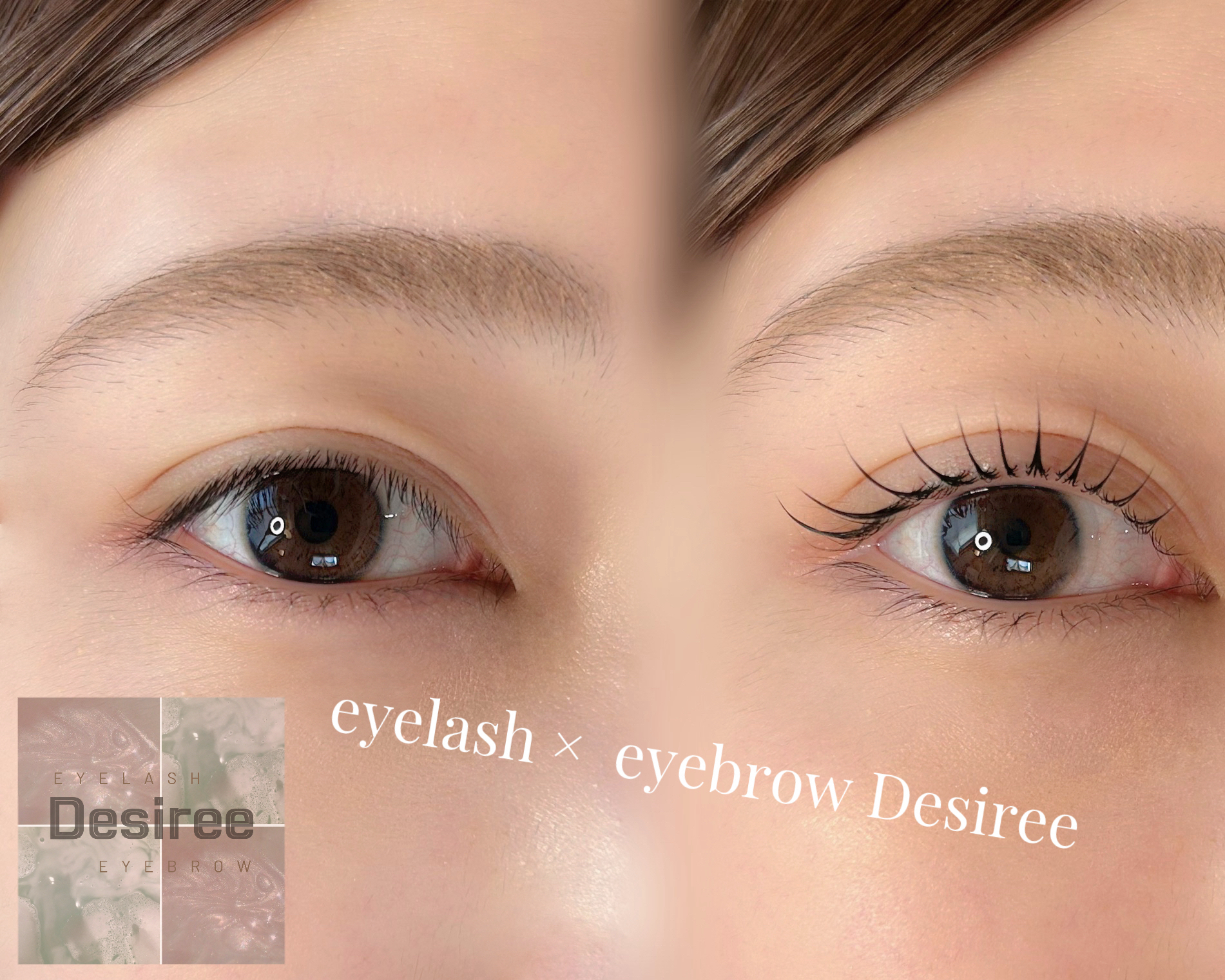 eyelash_eyebrow_desiree.