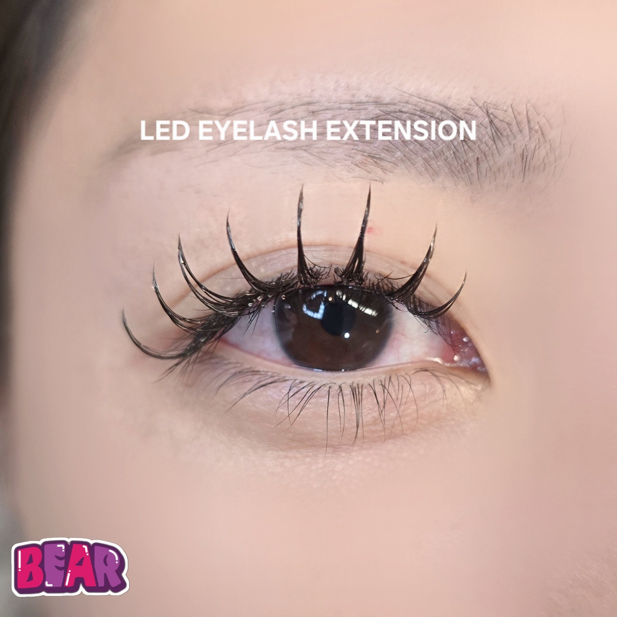 bear._.eyelash