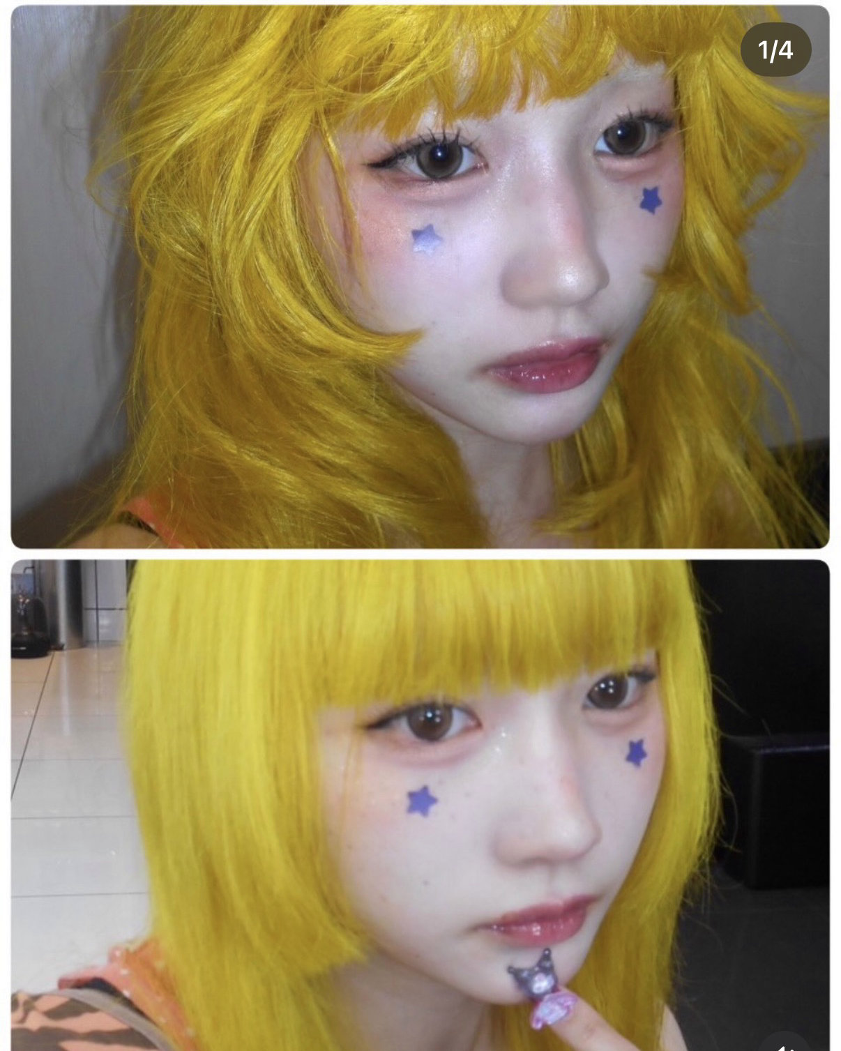 kishi_shachu