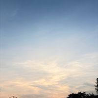 kurage_124