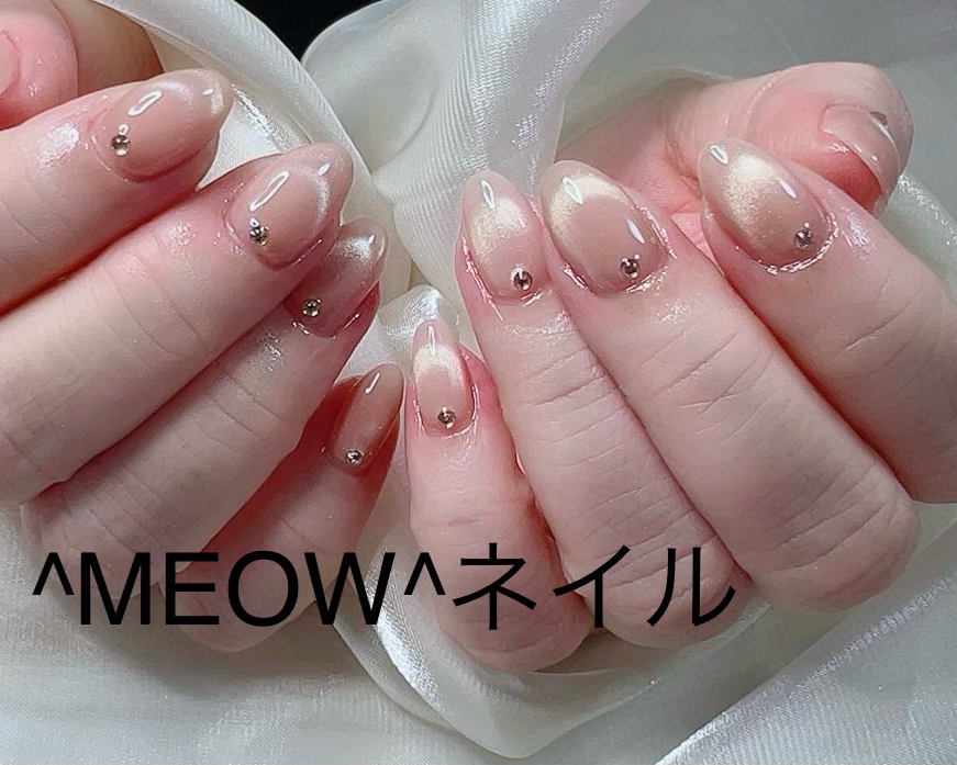 MEOW_salon
