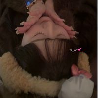 toujours_suzuka