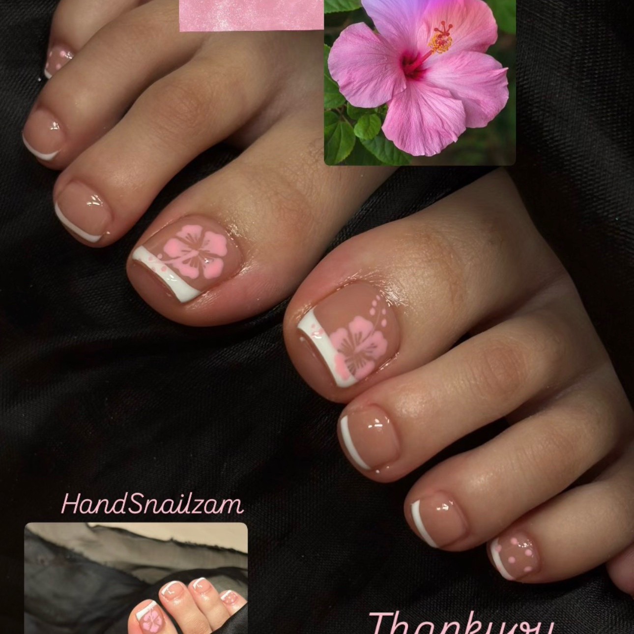 HandSnailZama