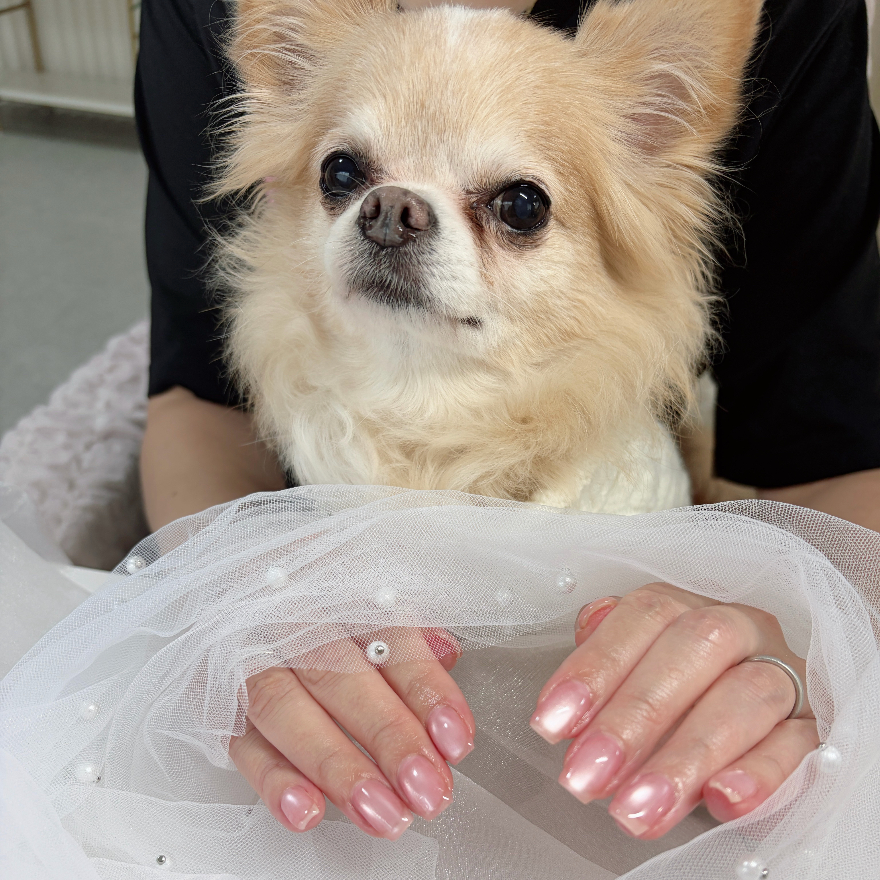 Nailsalon.puuko
