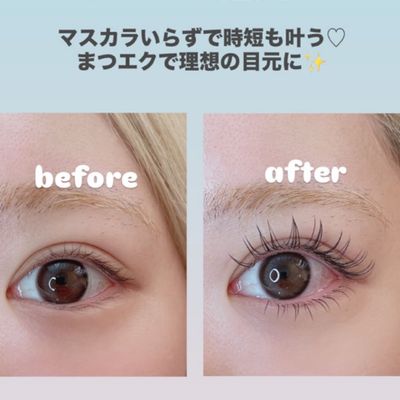 【上】バインドロック120束