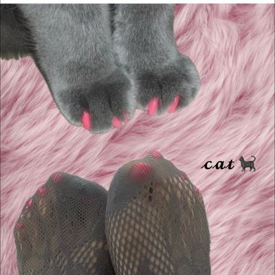 one color （ご新規様付替オフ無料）