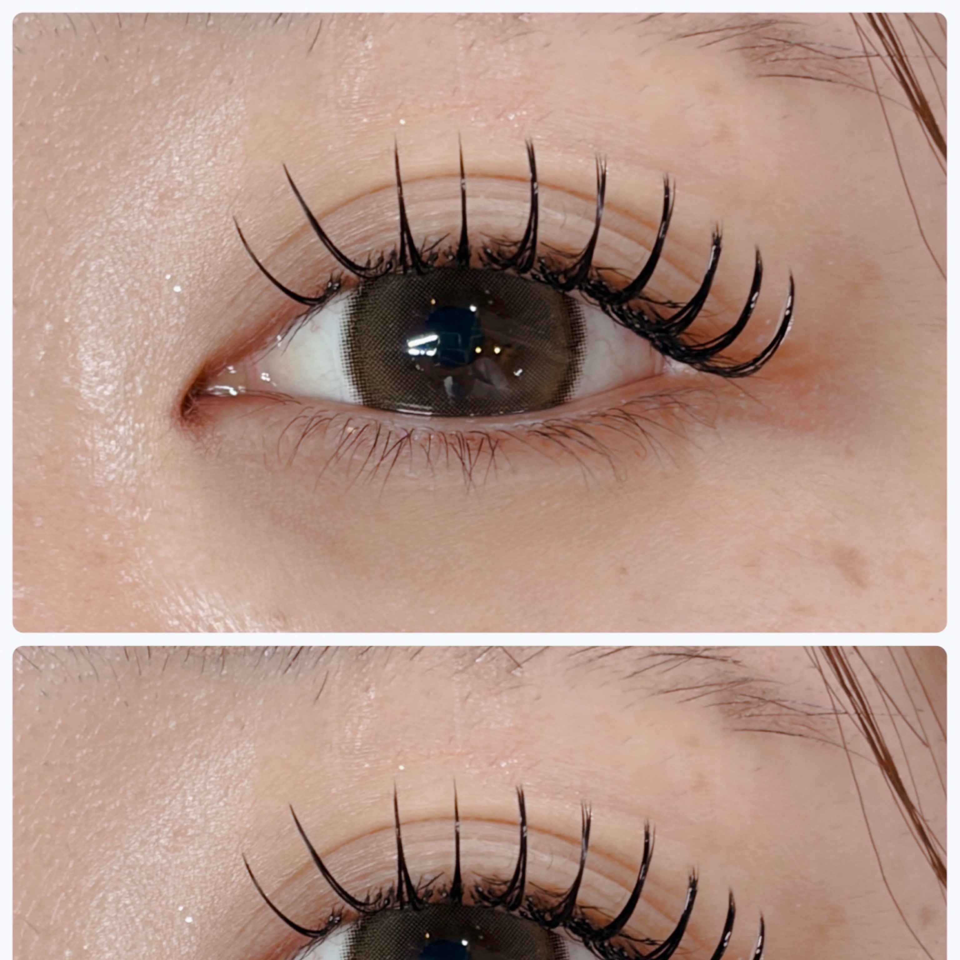 eyelash.ayumi