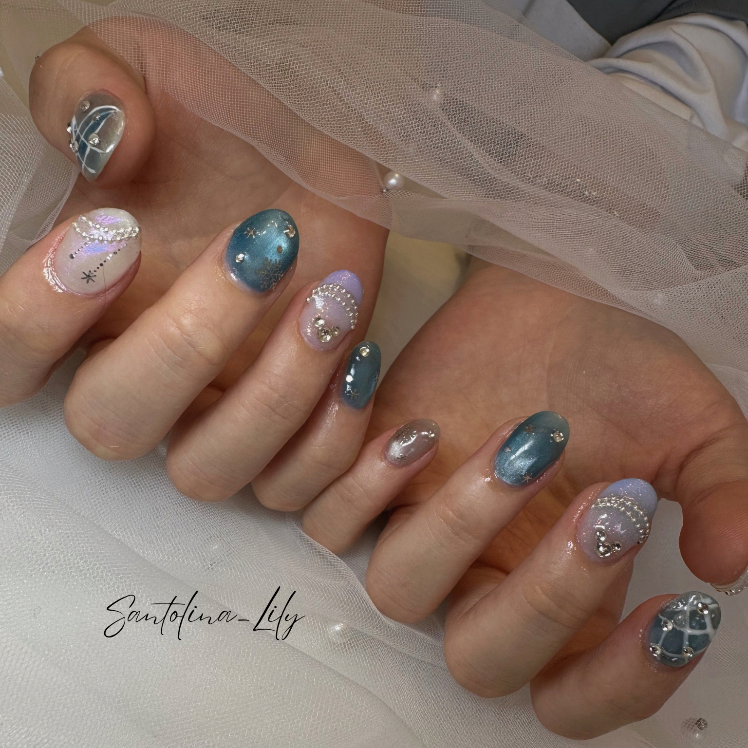 Santolina_Lily