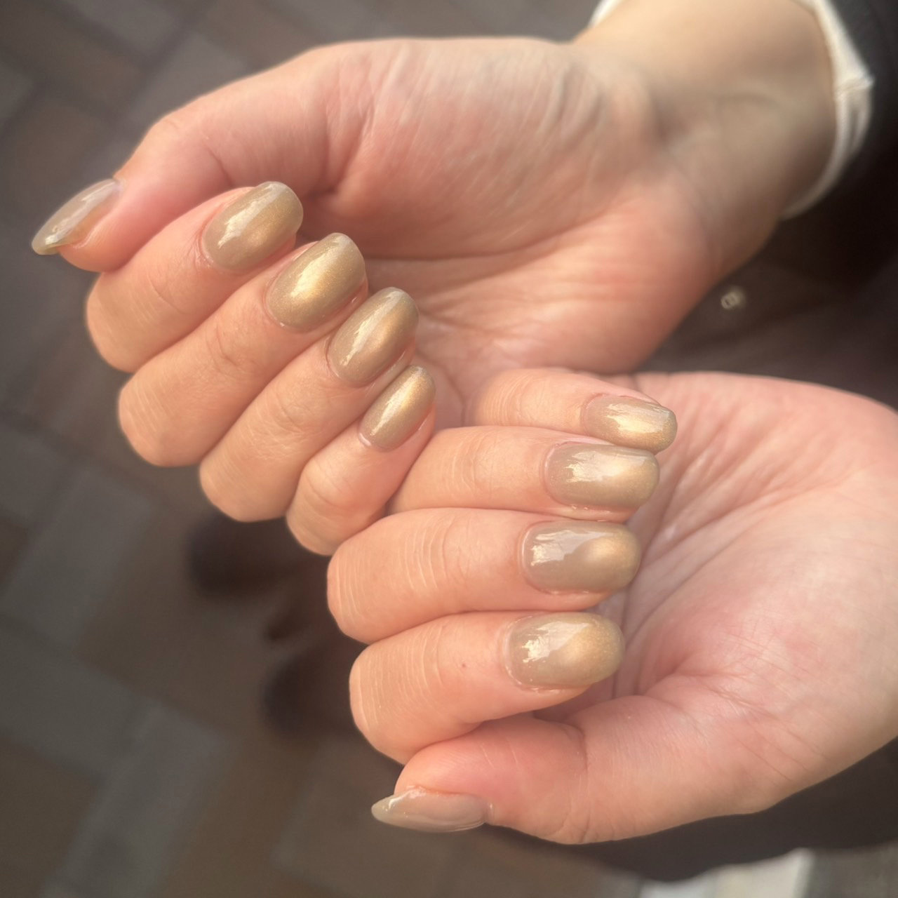petitmaison_kotomi