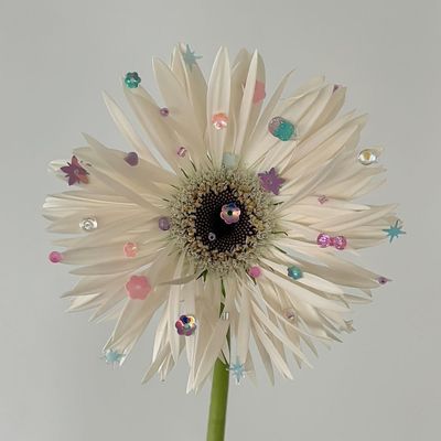 【再来】full design course