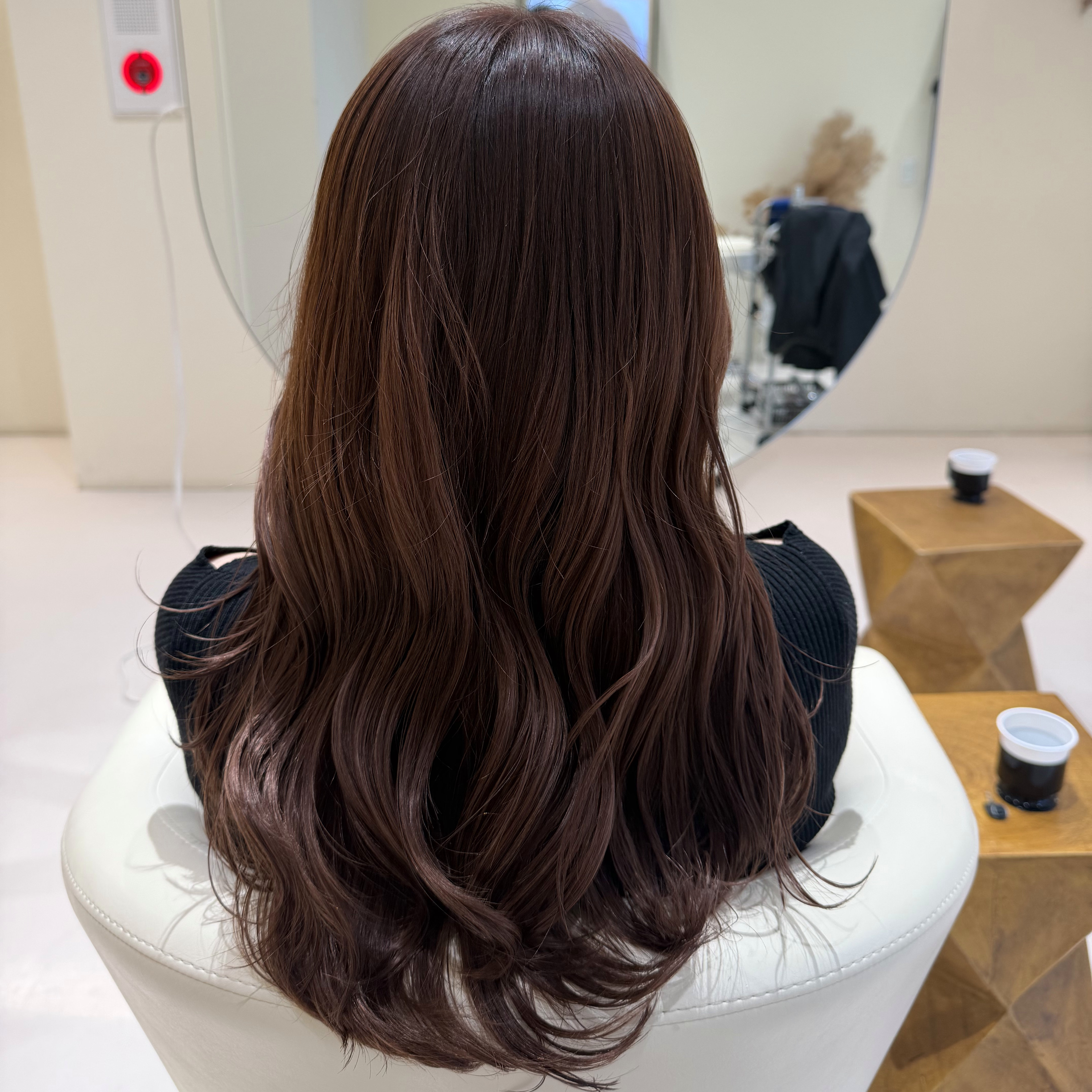 toi.kikuchi