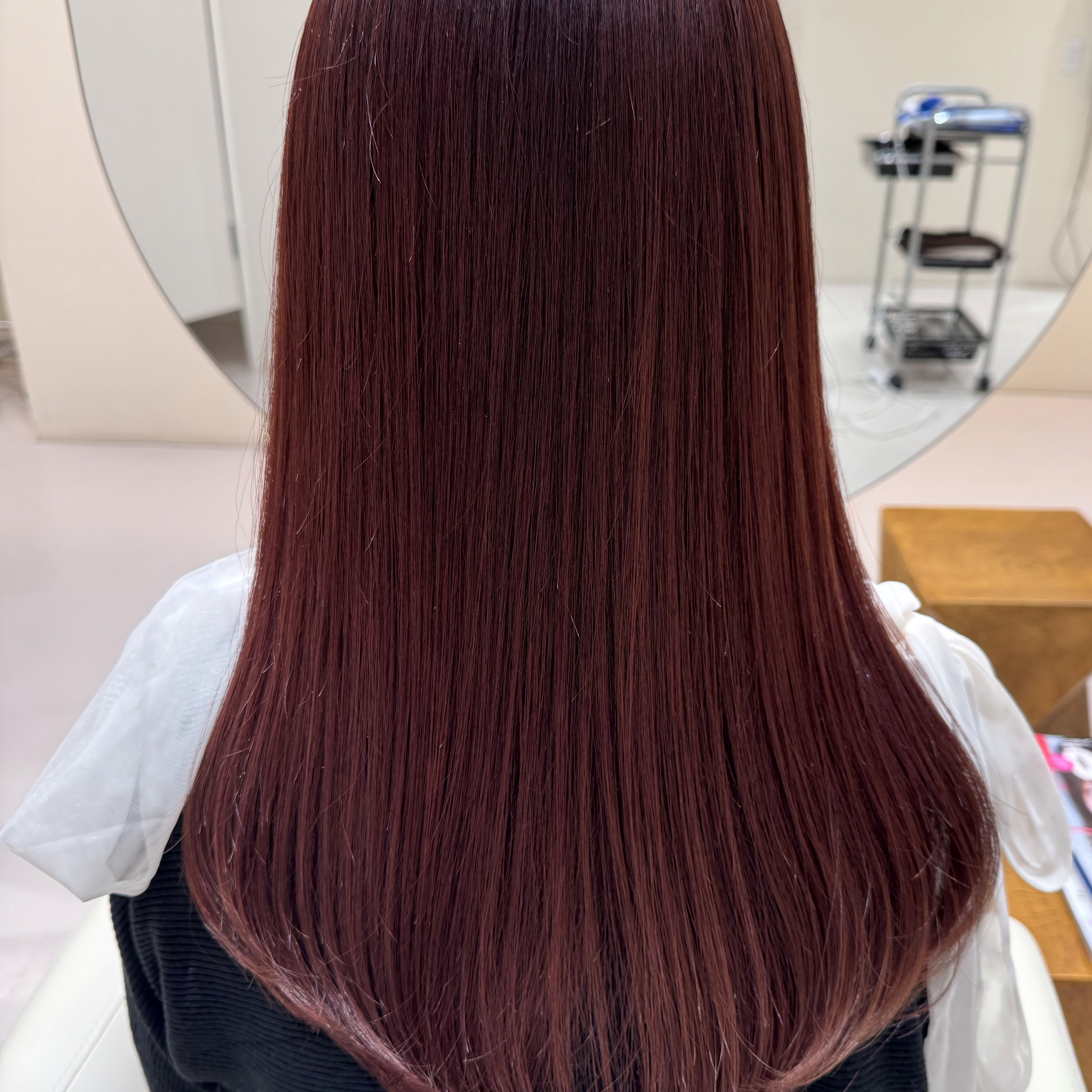 toi.kikuchi