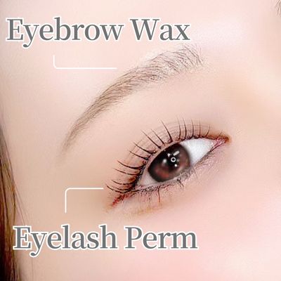 アイブロウWAX(間引き付)×韓国式まつげパーマ(TR付)