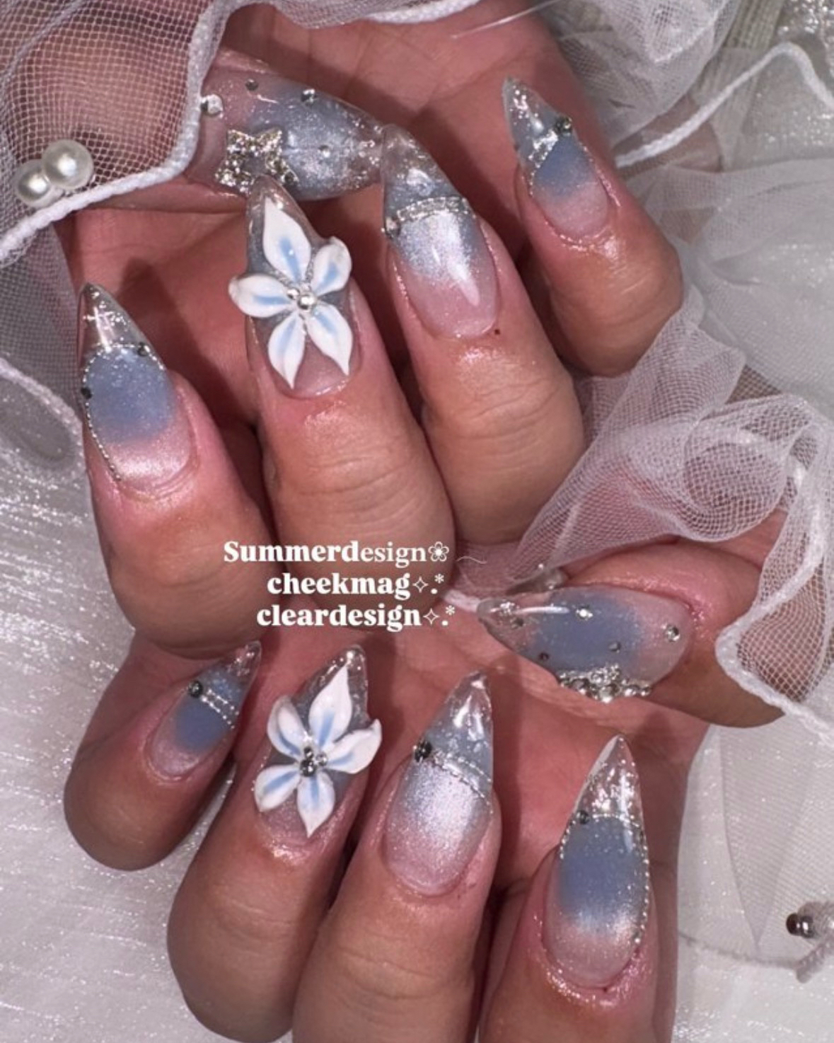 _laninails