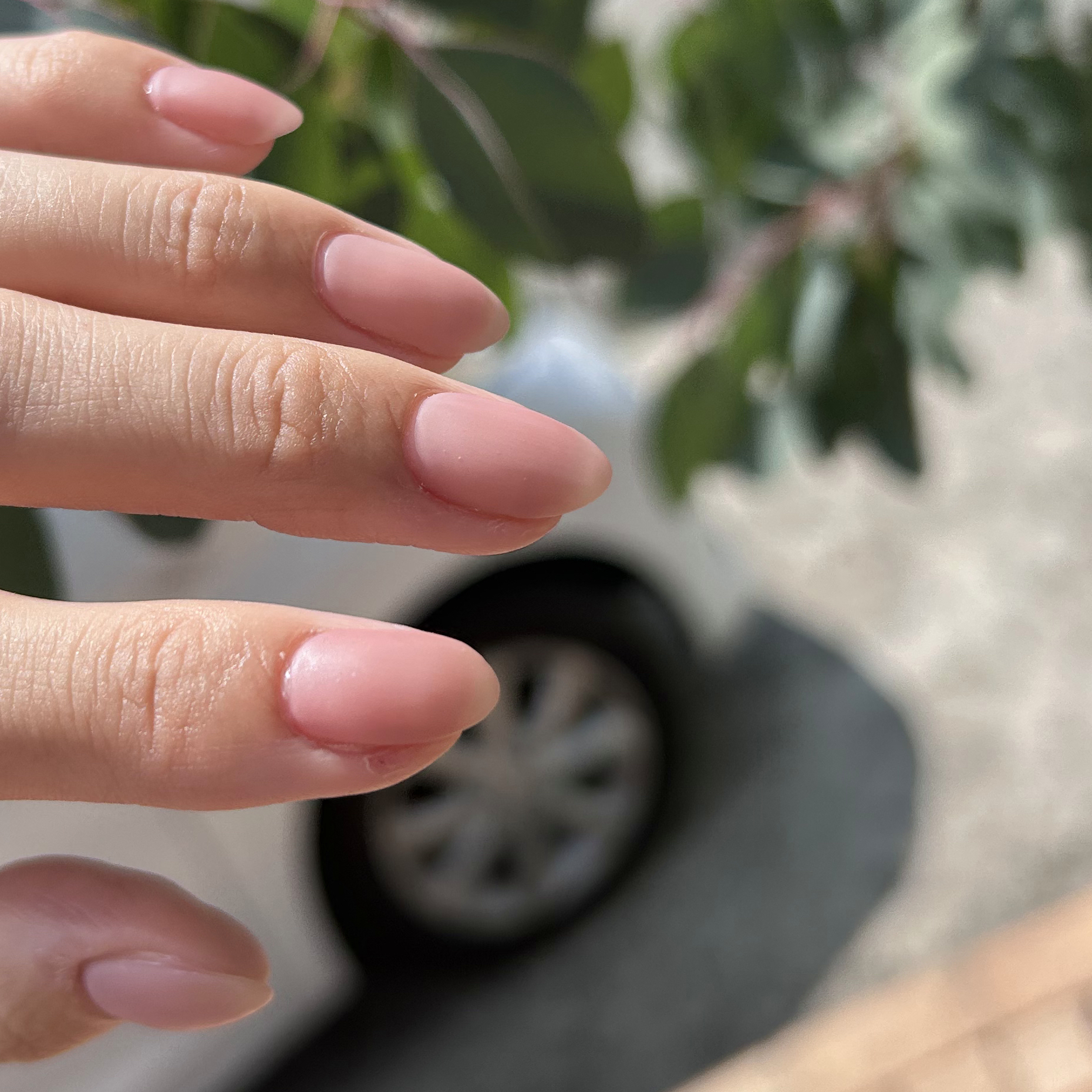 hachi8__nail__