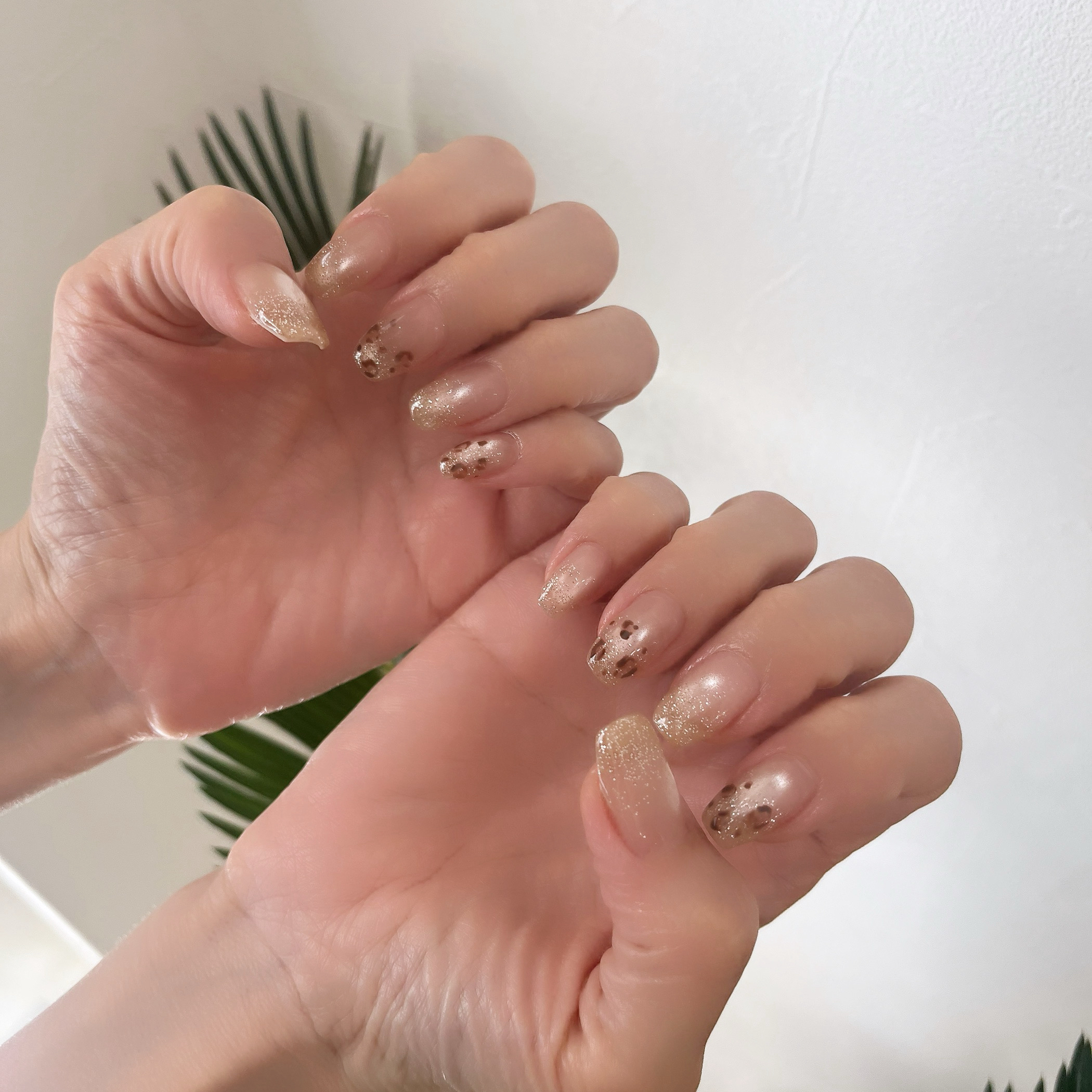 s.ponail